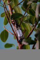 nano_organic_овсяное_молочко_для_умывания_увлажнение__150ml__1.jpg